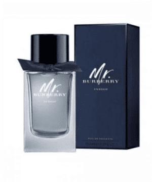 Mr_BURBERRY_INDIGO_EDT 100ML