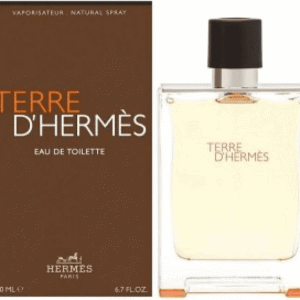paris_terre d edt 100ml