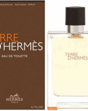 paris_terre d edt 100ml