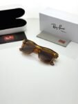 Ray_ban_0502_tiger_brown2