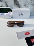 Rayban_2191_brown4