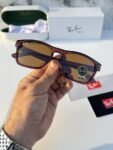 Rayban_2191_brown4